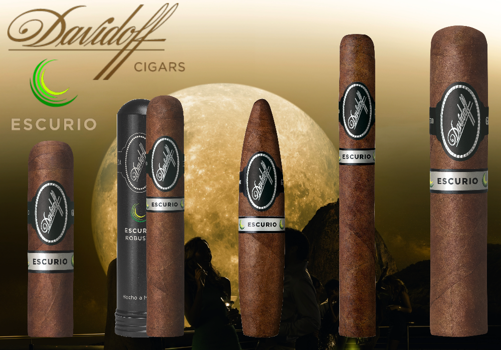 Buy Davidoff Escurio Cigars